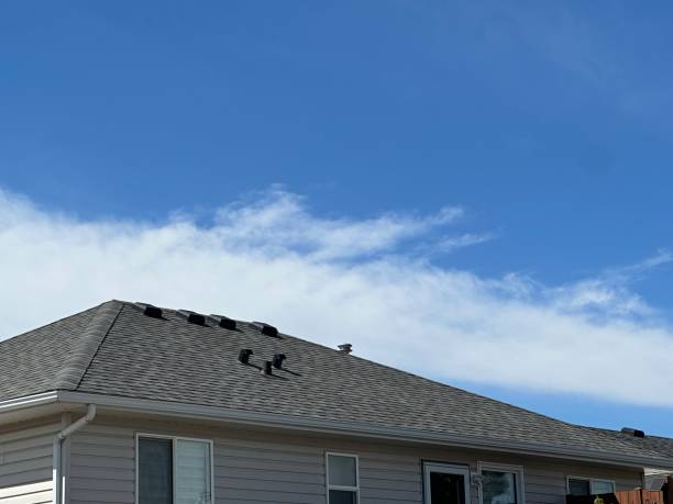 Best Roof Leak Repair  in Spring Hope, NC